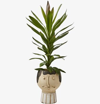 Kruka Camille L Beige/Svart från Affari med ansiktsdesign