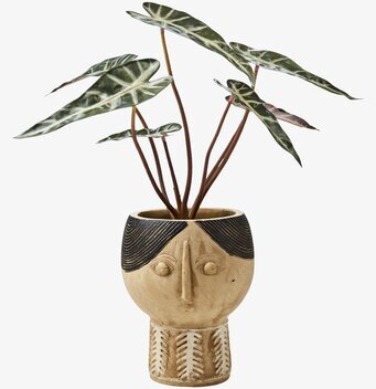 Kruka Camille S Beige/Svart från Affari med växt i.