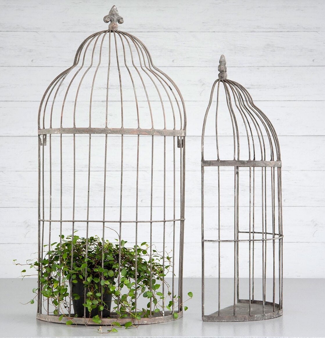Växtbur Vägg Metall Set/2 från A Lot Decoration med växt