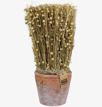 Sädesslag i Kruka Lin Mellan från Strömshaga i terrakotta