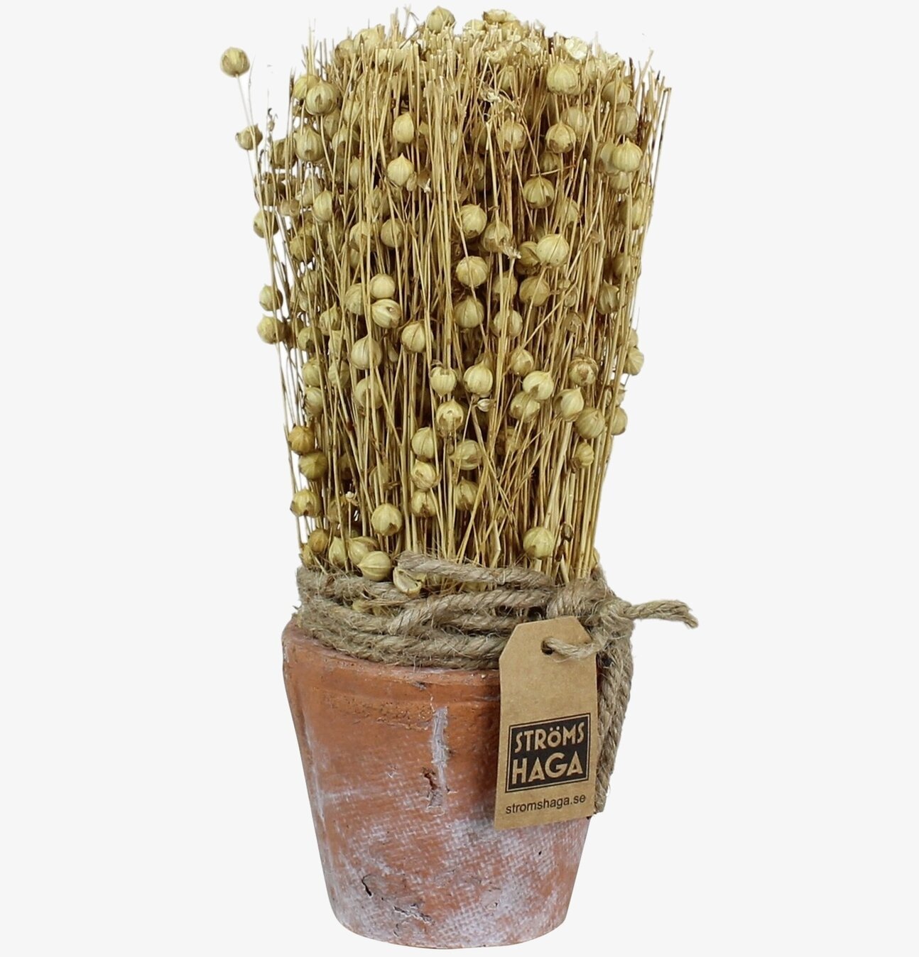 Sädesslag i Kruka Lin Liten från Strömshaga i terrakotta