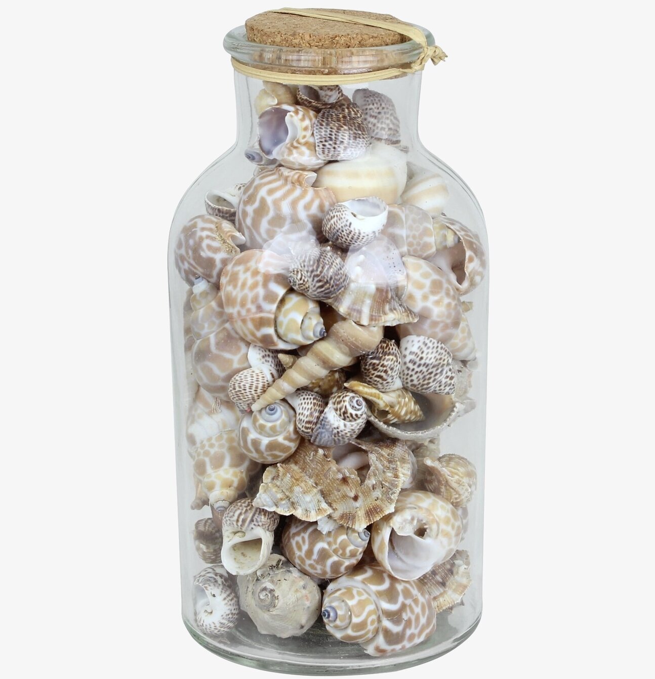 Snäckor i Glasburk Stor från Strömshaga i ljus omgivning