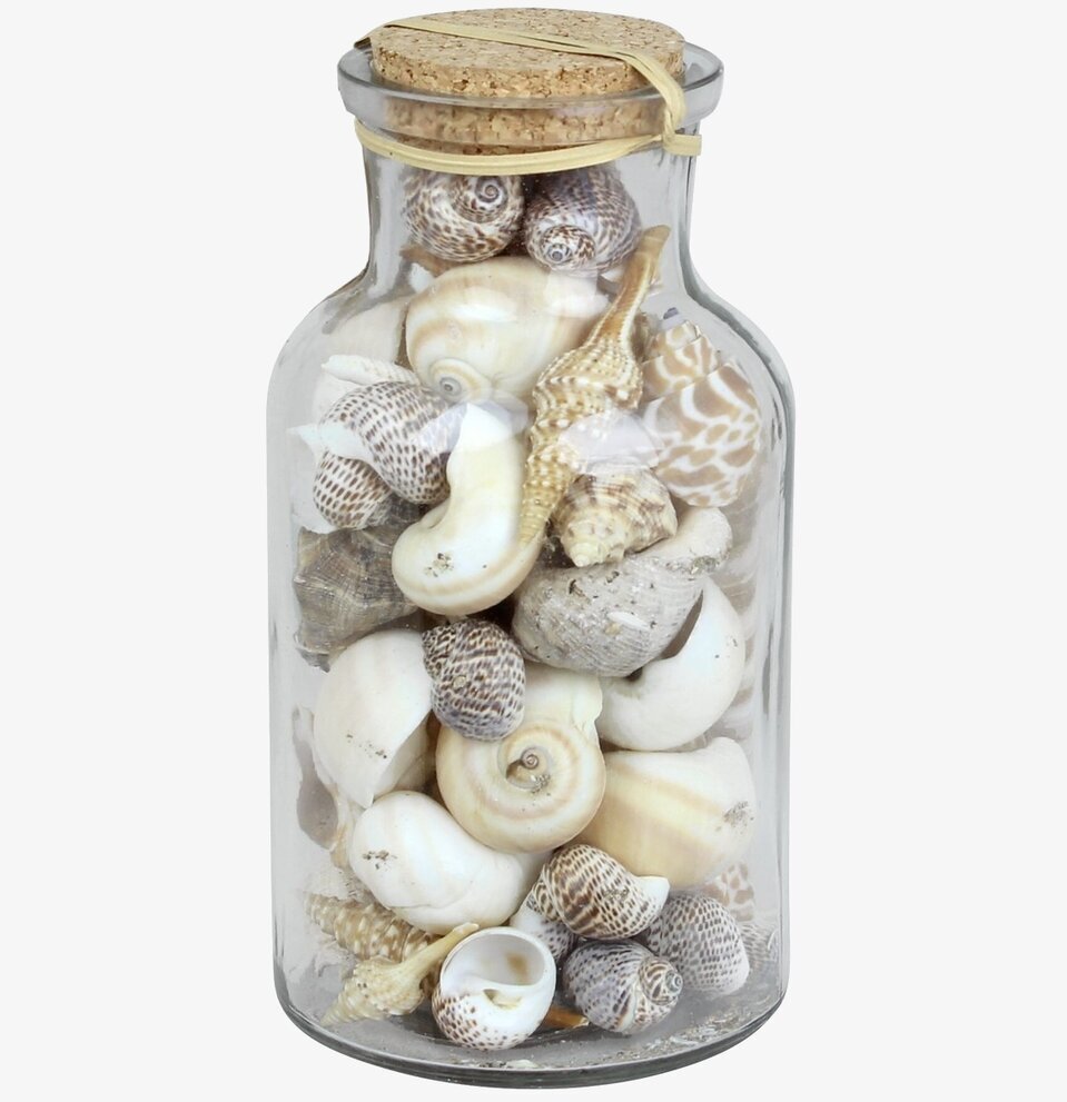 Snäckor i Glasburk Mellan från Strömshaga, dekorativ burk