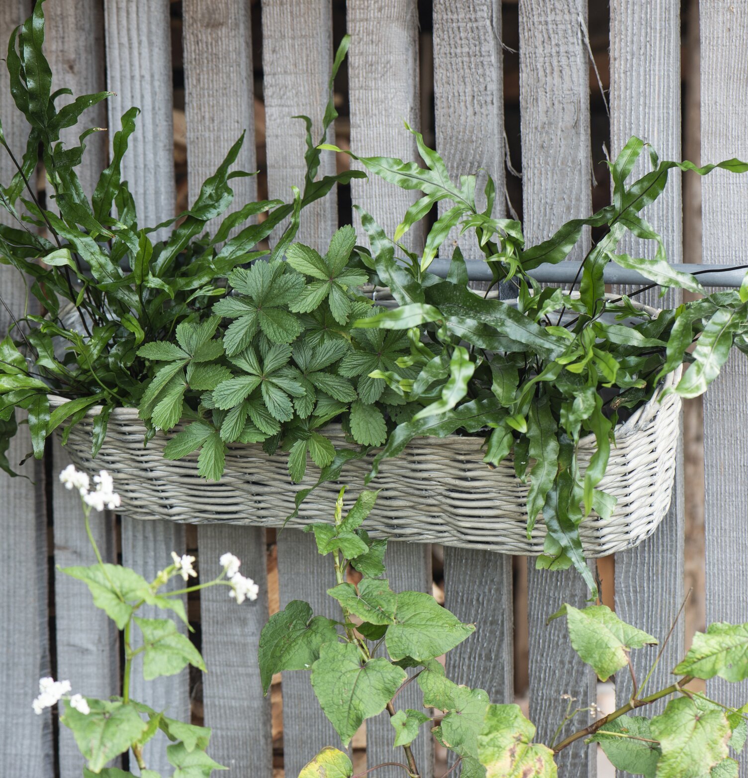 Blomlåda Pil Med Upphäng från IB Laursen i naturlig miljö