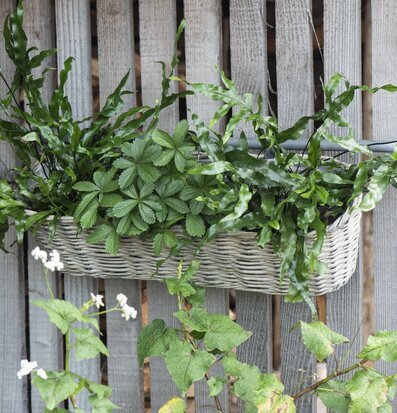 Blomlåda Pil Med Upphäng från IB Laursen i naturlig miljö