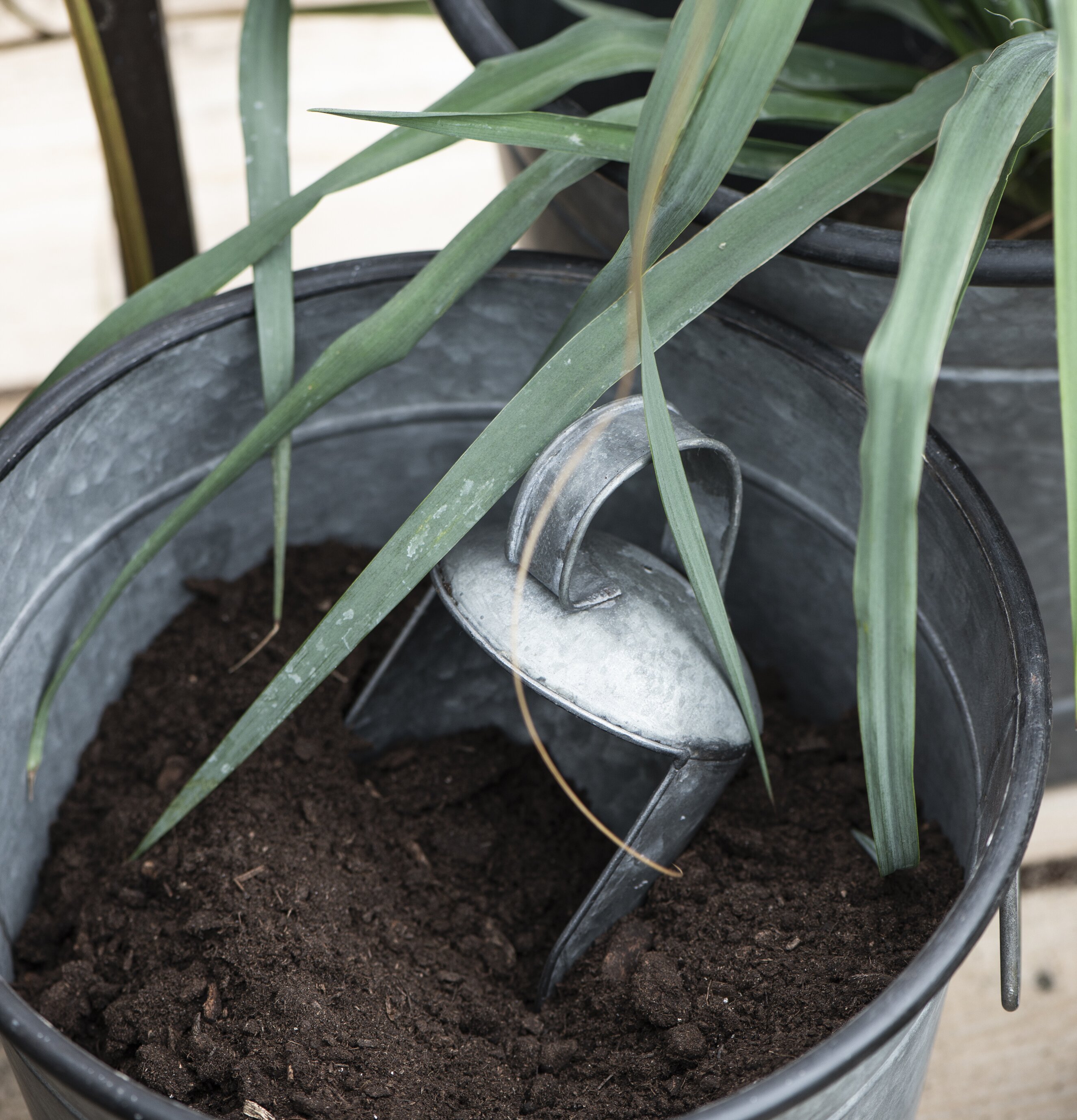 Skopa Zink från IB Laursen i zinkkruka med jord och växter