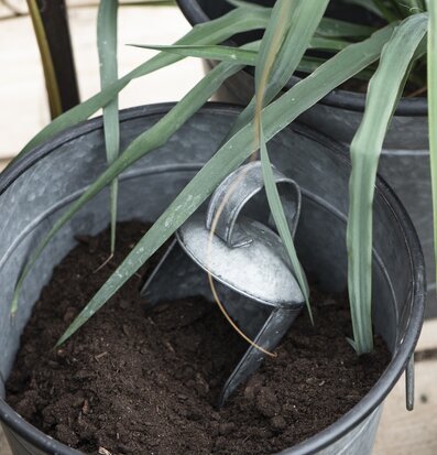 Skopa Zink från IB Laursen i zinkkruka med jord och växter