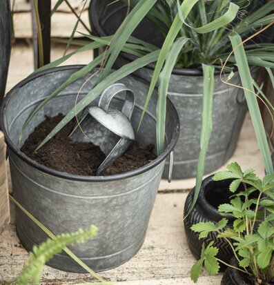 Skopa Zink från IB Laursen i en hink med jord i trädgården