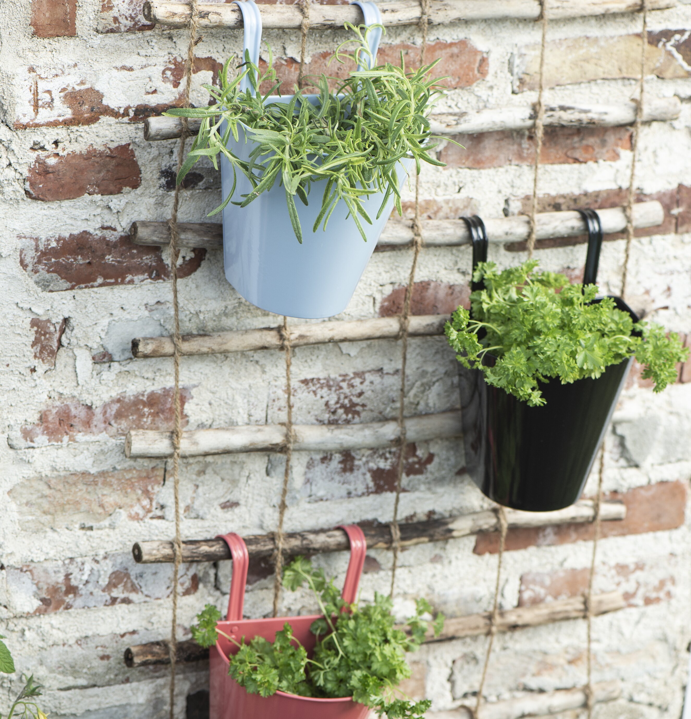 Väggkruka Svart från IB Laursen på vitkalkad tegelvägg