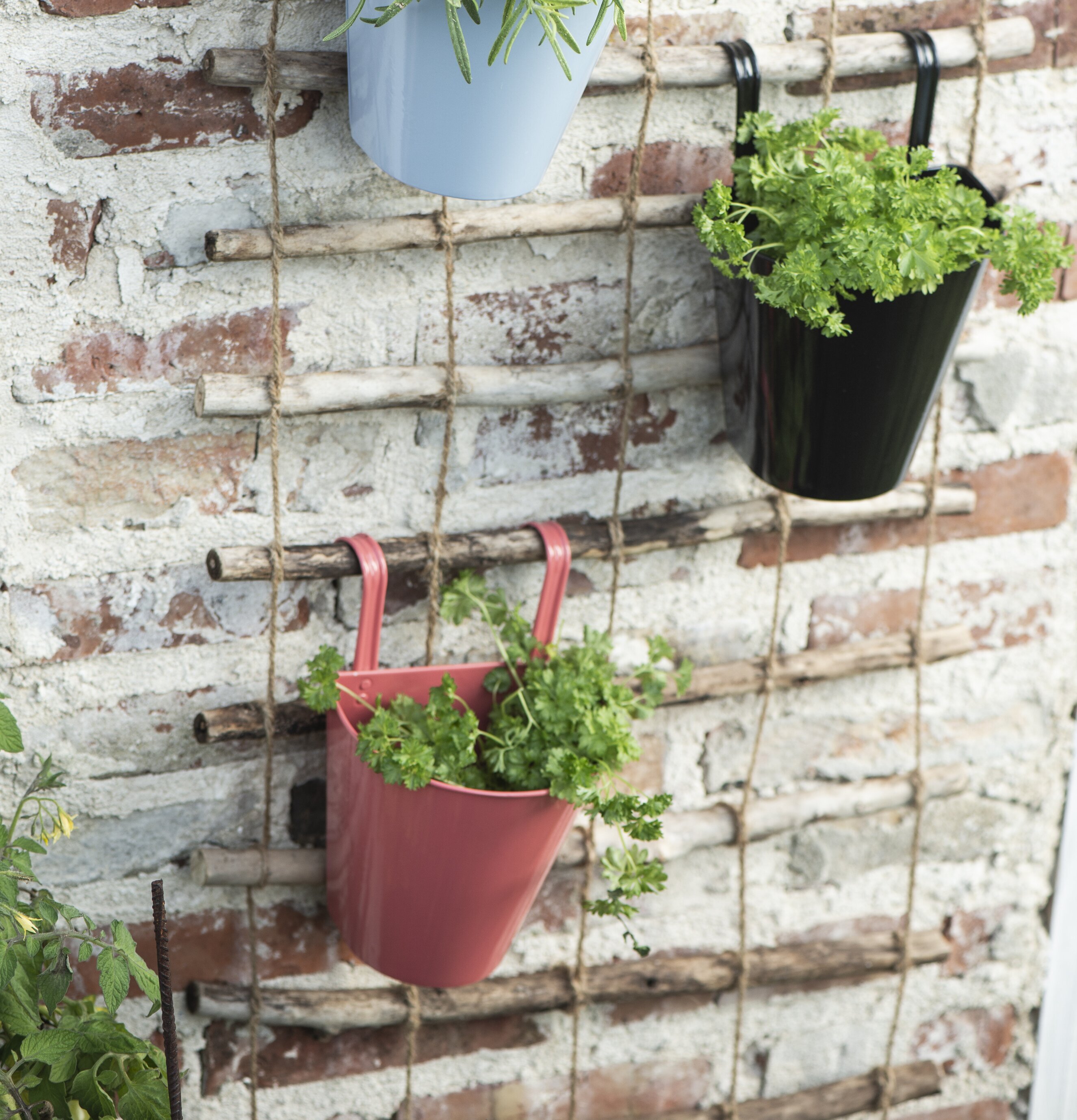 Väggkruka Faded Rose från IB Laursen med grön växt