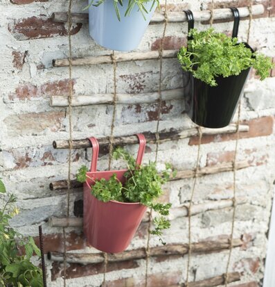 Väggkruka Faded Rose från IB Laursen med grön växt