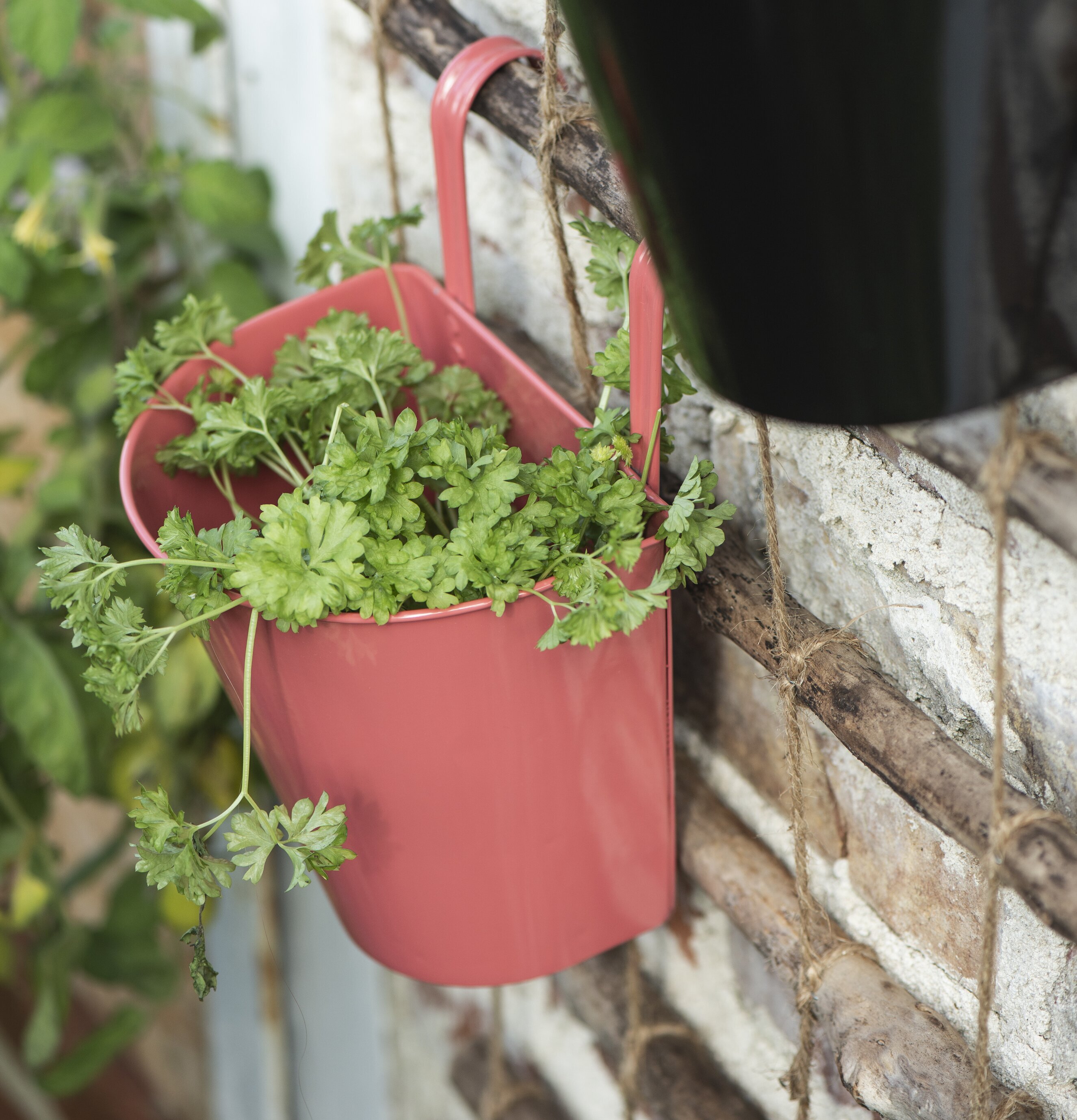 Väggkruka Faded Rose från IB Laursen i rustik miljö