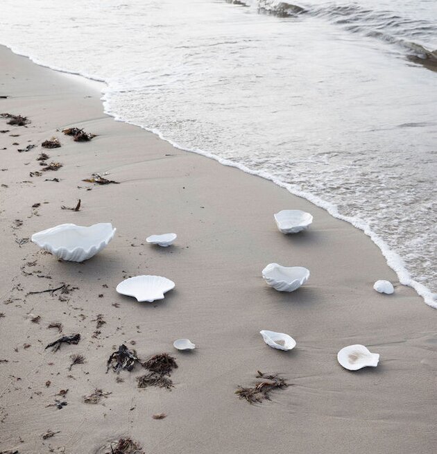 Skål Shell S Vit från By ON längs en gyllene strandlinje