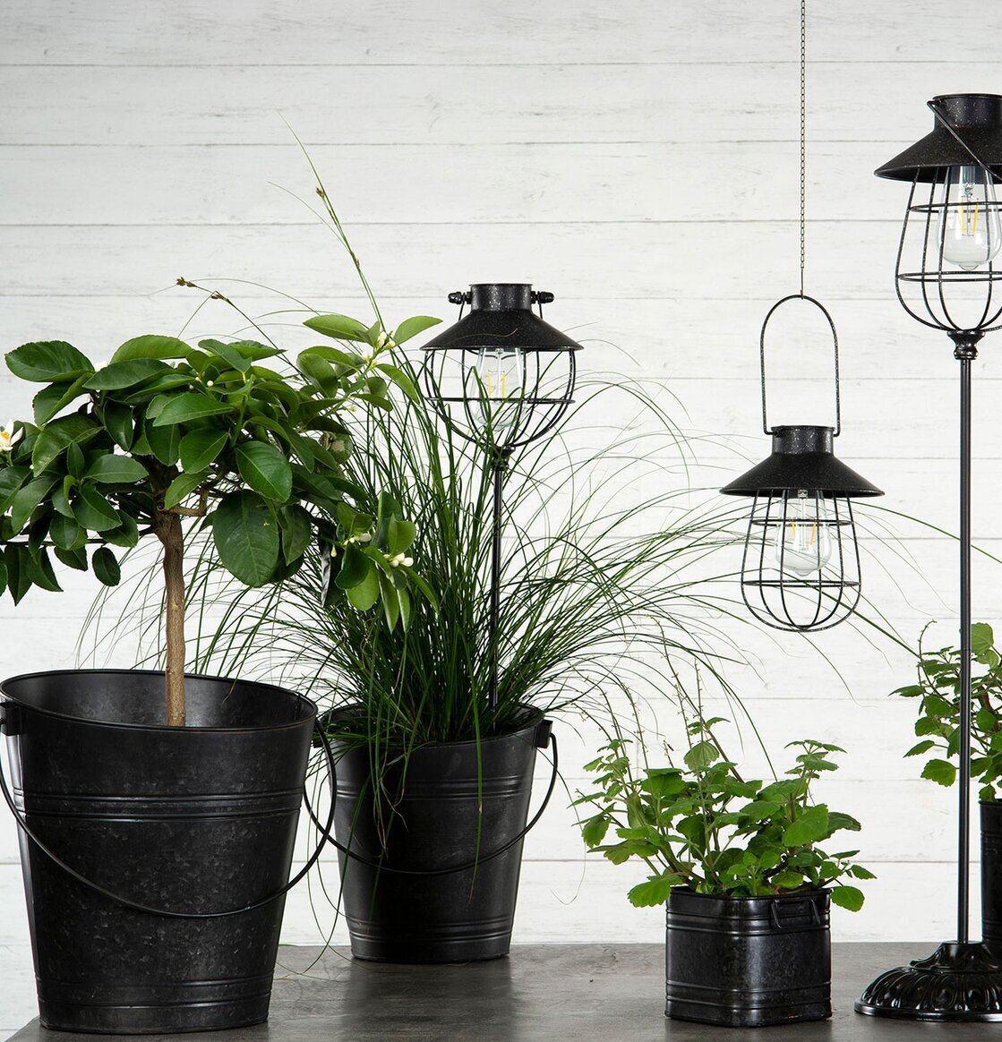 Hink Matt Svart från A Lot Decoration med växter och lyktor