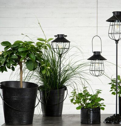 Hink Matt Svart från A Lot Decoration med växter och lyktor