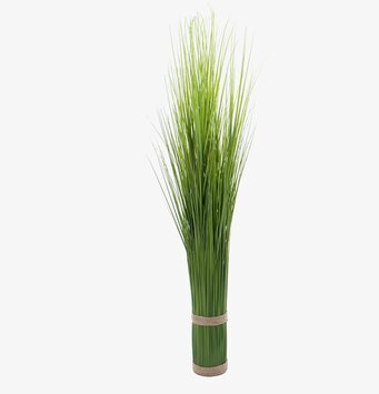 Gräs 115 Cm - 2-pack från Mr Plant i en minimalistisk miljö