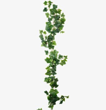 Murgröna 180 Cm från Mr Plant med realistiska gröna blad