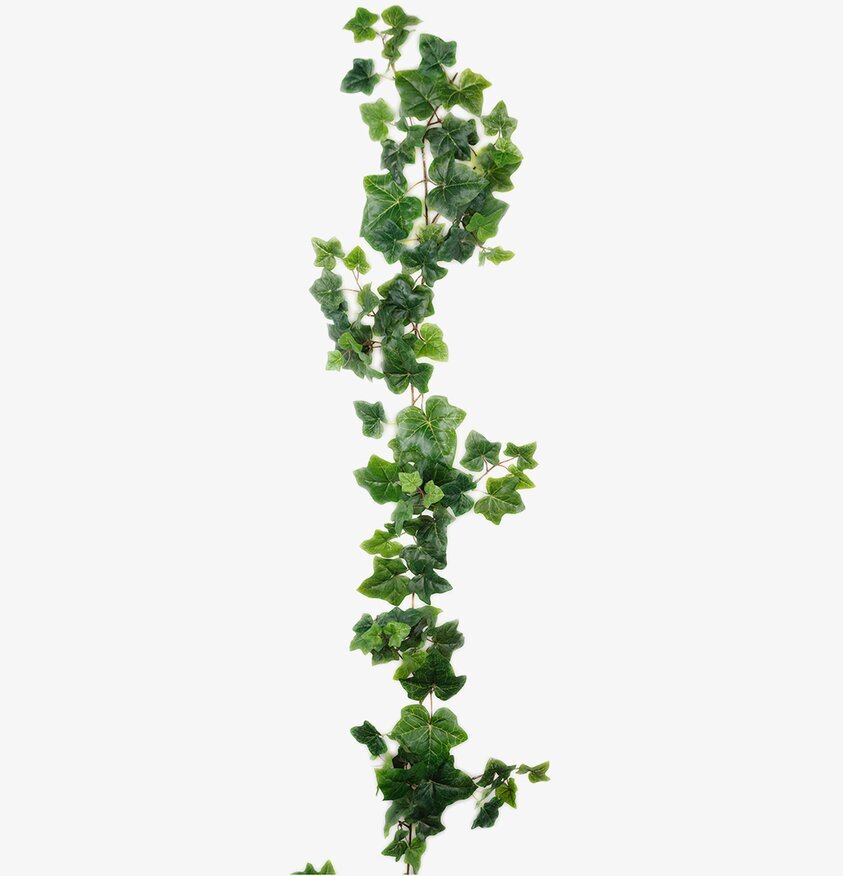 Murgröna 180 Cm från Mr Plant med realistiska gröna blad