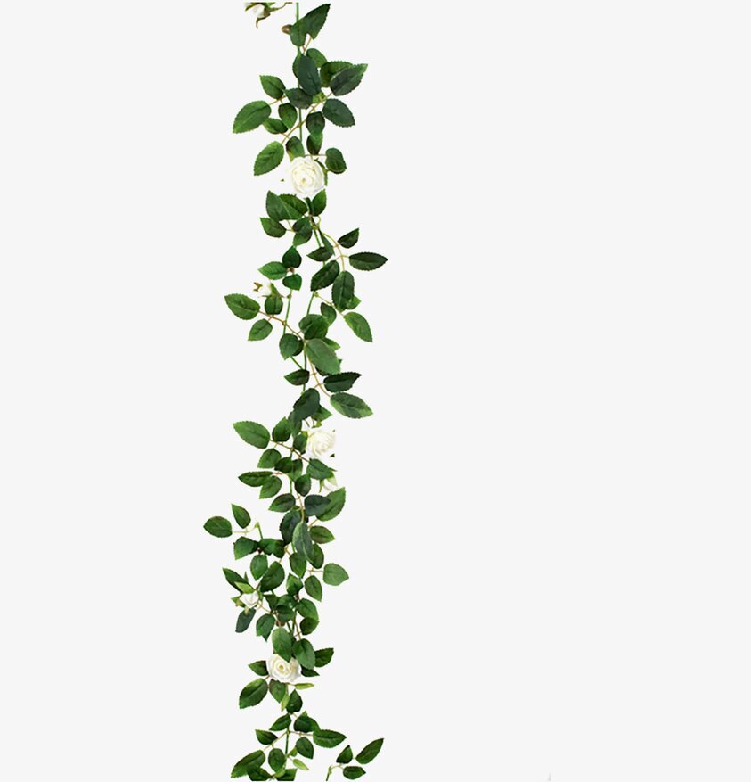 Rosgirlang Vit från Mr Plant med vita rosor och gröna blad