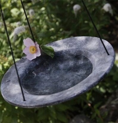 Fågelbad Gråsparv Litet från Eldgarden i grön trädgård