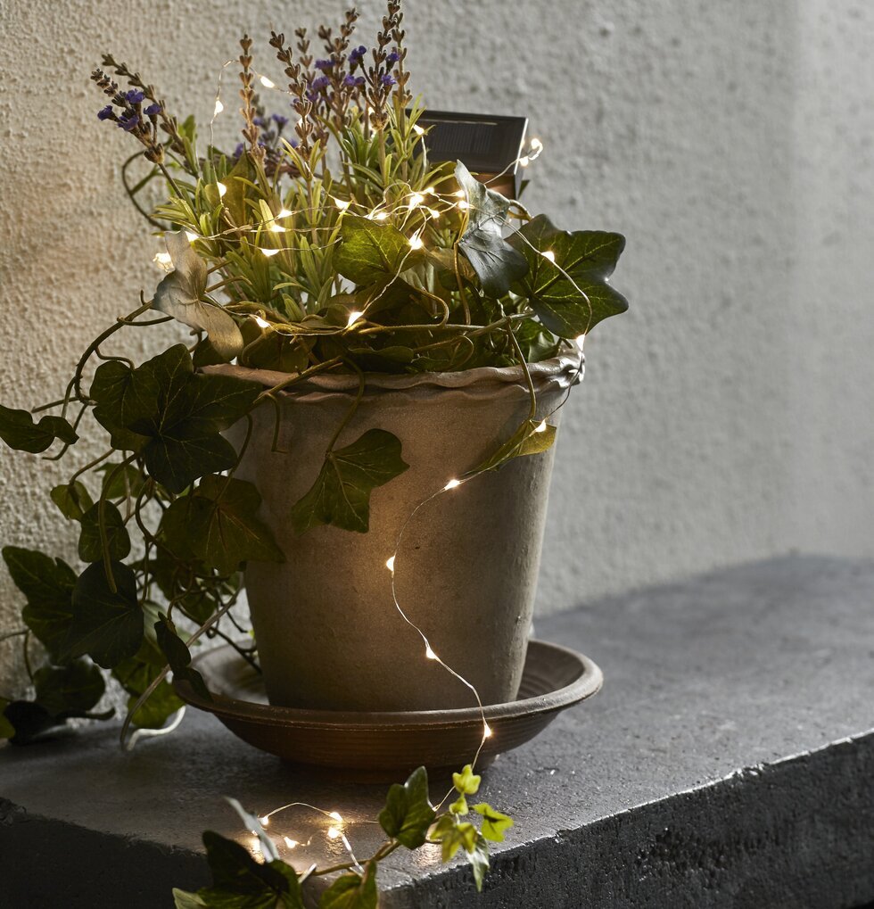 Ljusslinga Solcell Dew Drop från Star Trading i en kruka