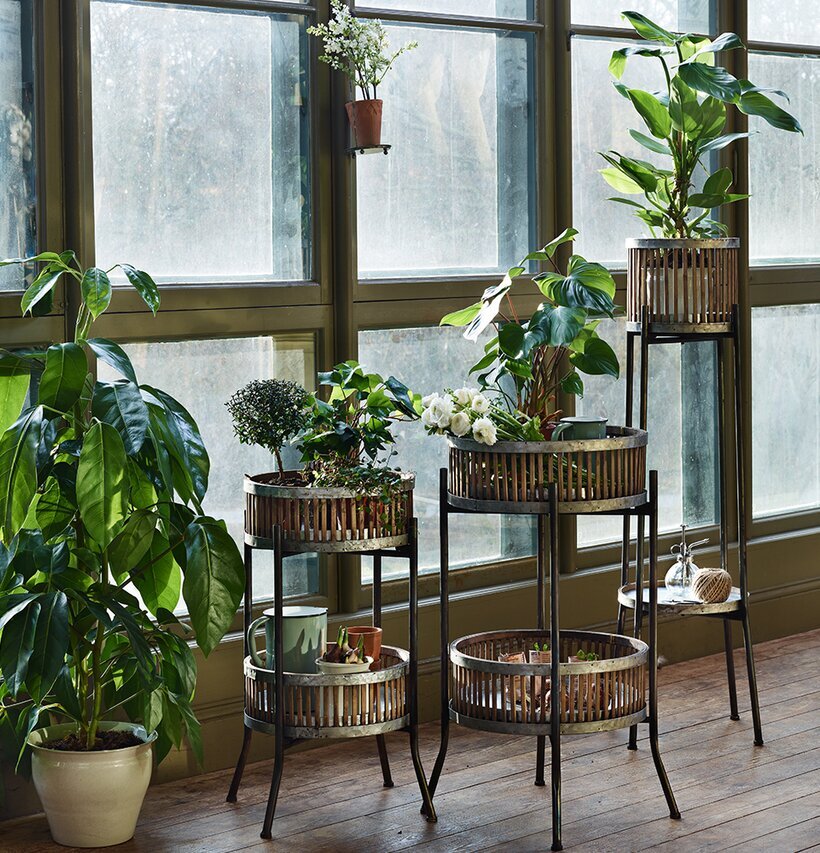 Korgställning Ida Stor från Strömshaga med växter i rum