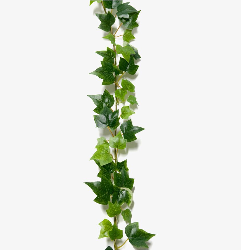 Murgröna 180 Cm från Mr Plant med naturtrogna detaljer