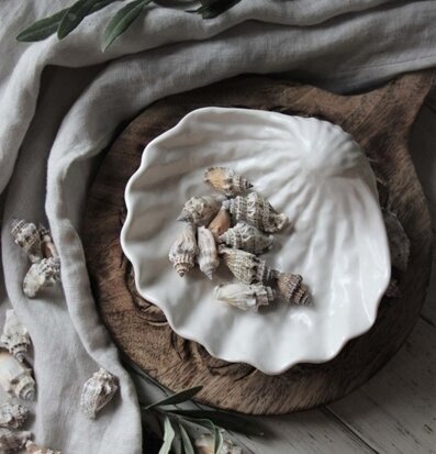 Skål Seashell från Majas Cottage på träbricka med snäckor