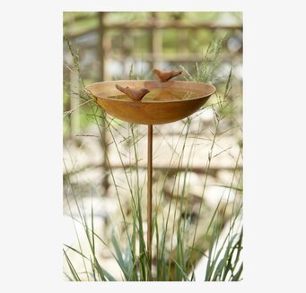 Roya Fågelbad Rost från Wikholm Form i naturlig trädgård