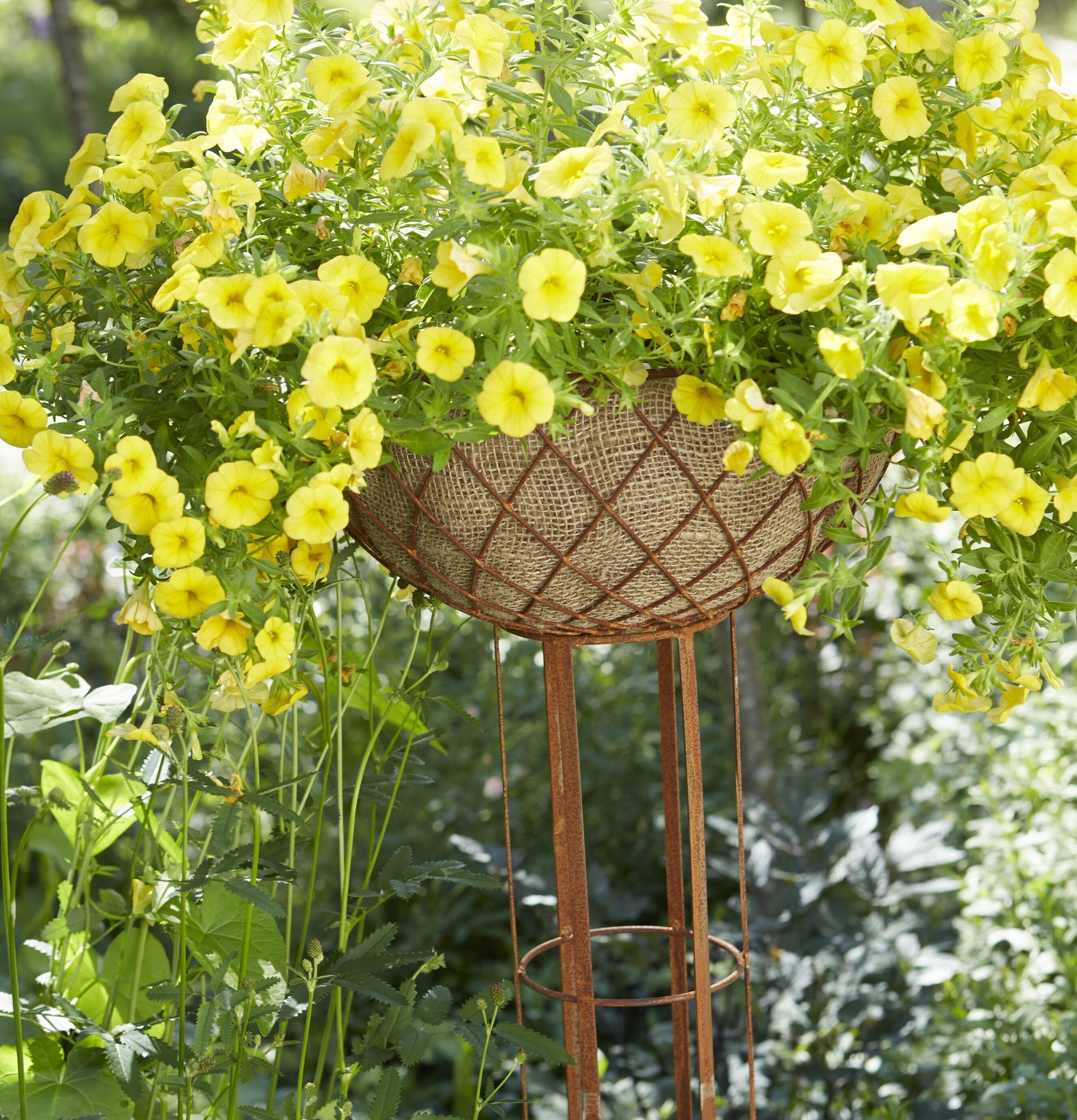 Roya Plant Piedistal Rost från Wikholm Form i en trädgård