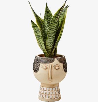 Kruka Camille M Beige/Svart från Affari med gröna växter