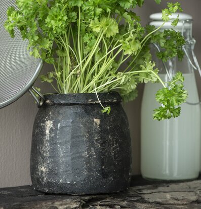 Stenkruka Unika från IB Laursen fylld med grön persilja