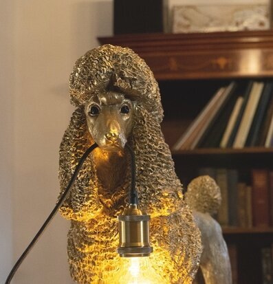 Lampa Pudel Elves Guld från Werner Voss på en bokhylla