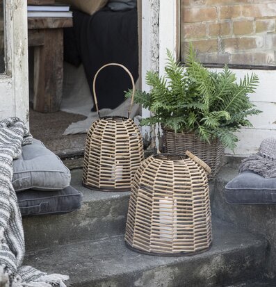 Bild av harmonisk utomhusmiljö med rotting och växter