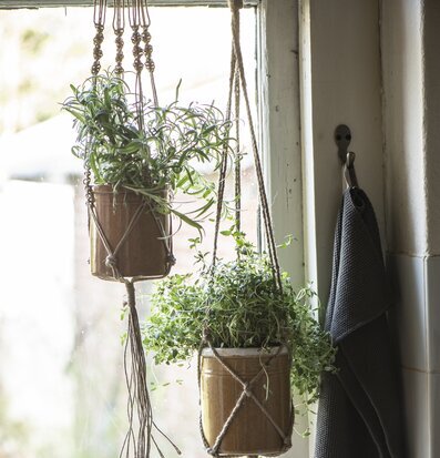 Ampelhängare Natur Jute från IB Laursen med gröna växter