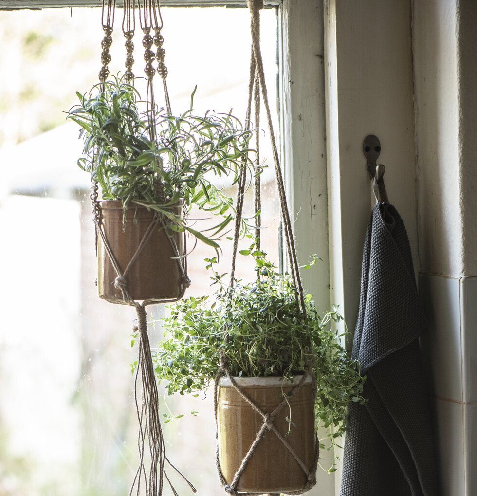 Ampelhängare Natur Jute från IB Laursen med gröna växter