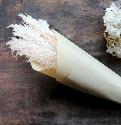 Fleur Pampagräs Creme från Chic Antique på rustik träyta