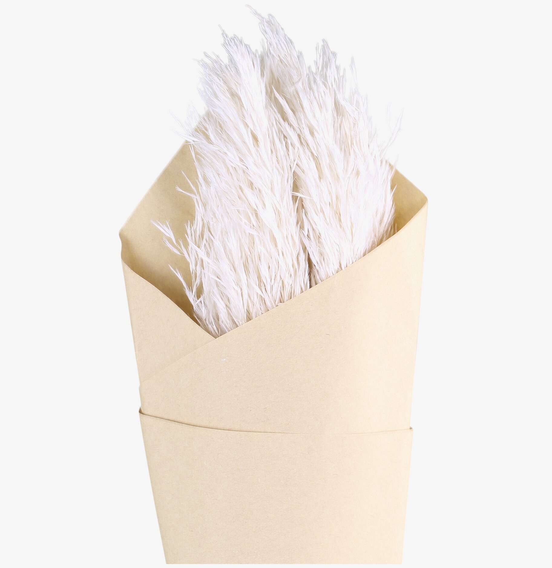 Fleur Pampagräs Creme från Chic Antique i krämvit nyans