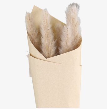 Fleur Pampagräs Natur från Chic Antique i beige papper