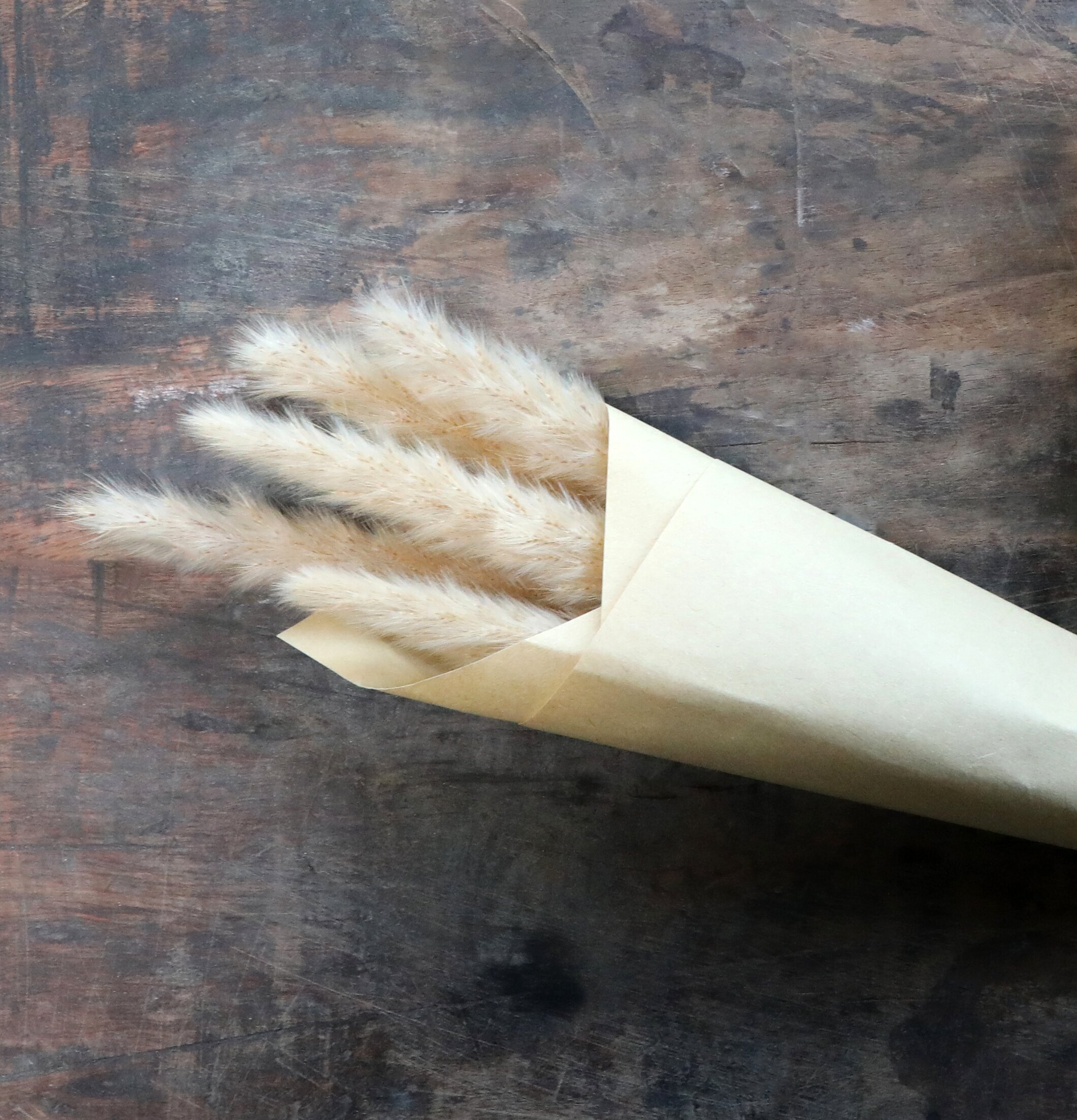 Fleur Pampagräs Natur från Chic Antique på mörkt träbord