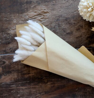 Fleur Lagurus Creme från Chic Antique på rustikt träbord