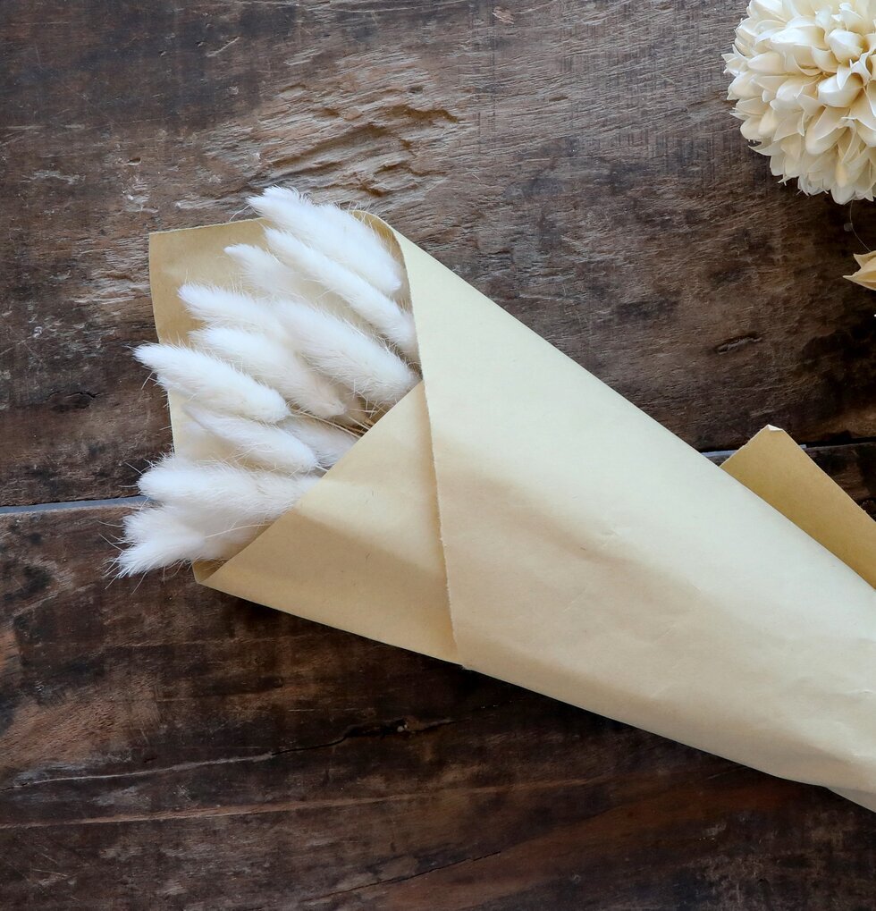 Fleur Lagurus Creme från Chic Antique på rustikt träbord