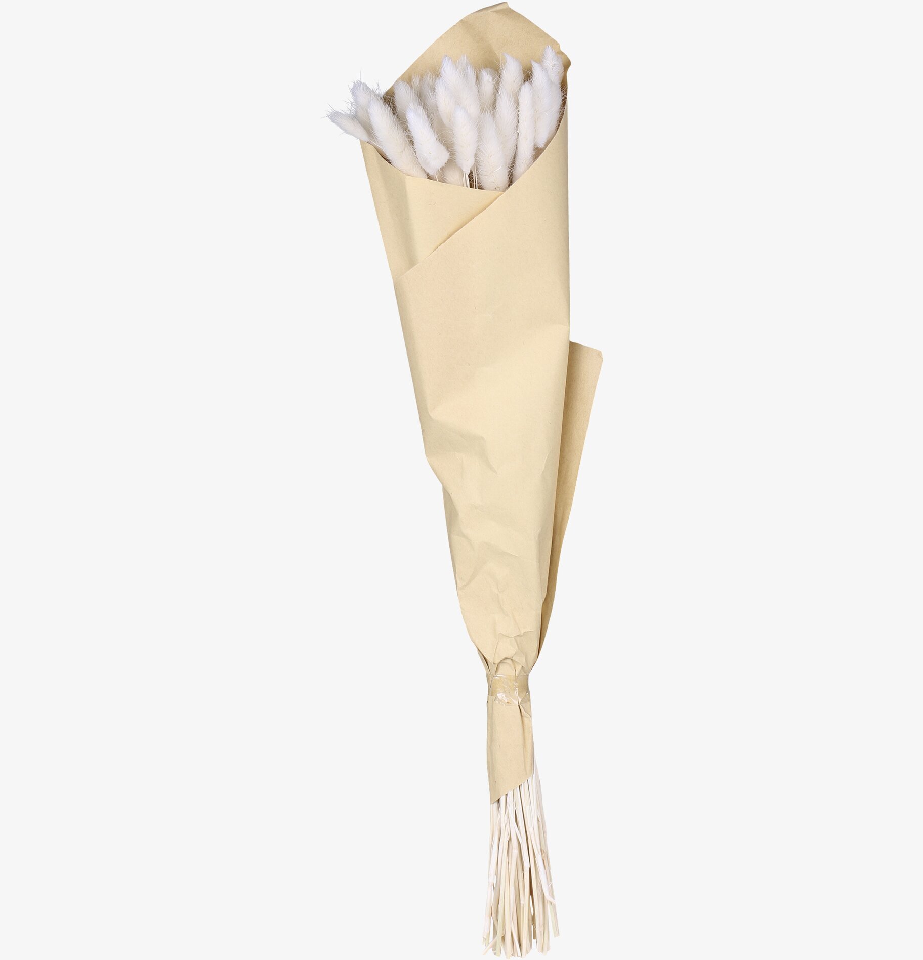 Fleur Lagurus Creme från Chic Antique i beige papper