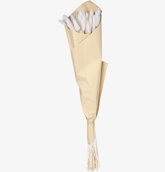 Fleur Lagurus Creme från Chic Antique i beige papper