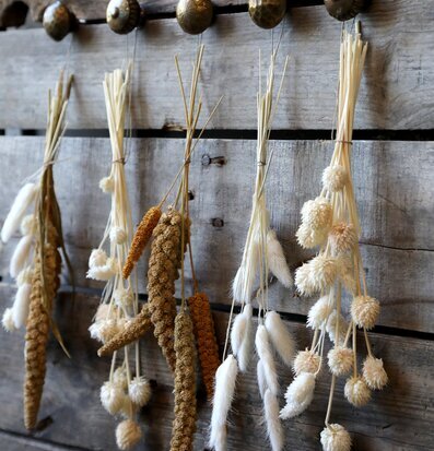 Fleur Lagurus Creme från Chic Antique mot rustik trävägg