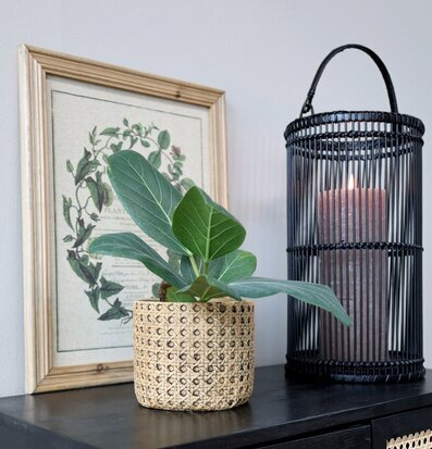 Lanterna Bambu Large Chic Antique Lanternor