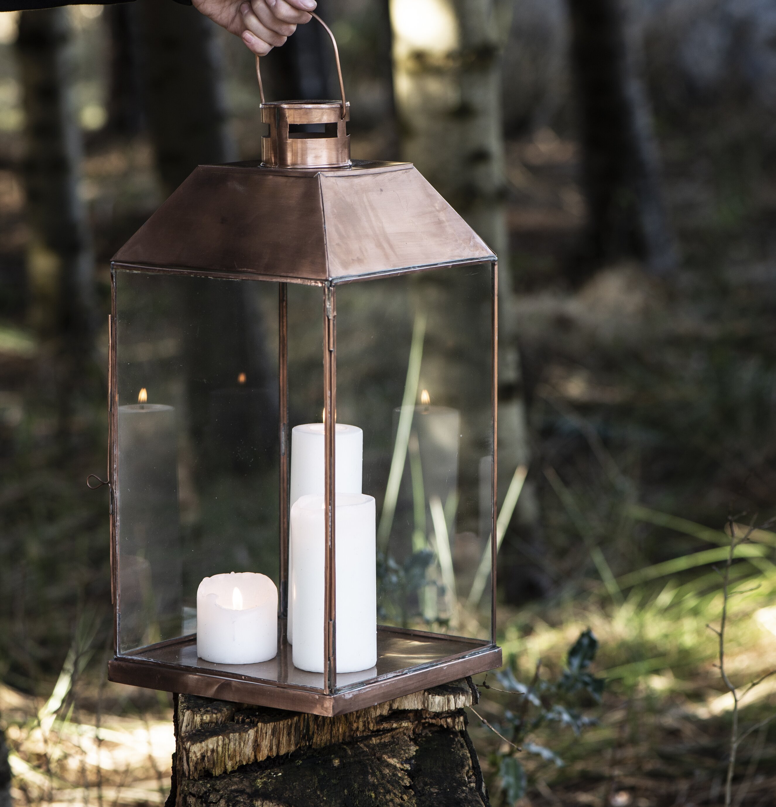 Lanterna Jubileum Special Edition från IB Laursen i skogen