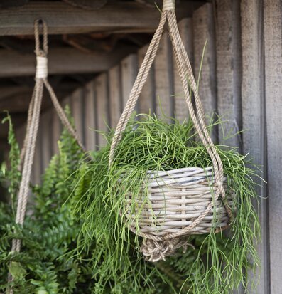Hängande Korgampel Rotting/Jute från IB Laursen i trämiljö