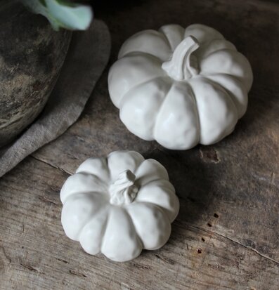 Pumpa Dekor Beige från Majas Cottage på rustikt träbord