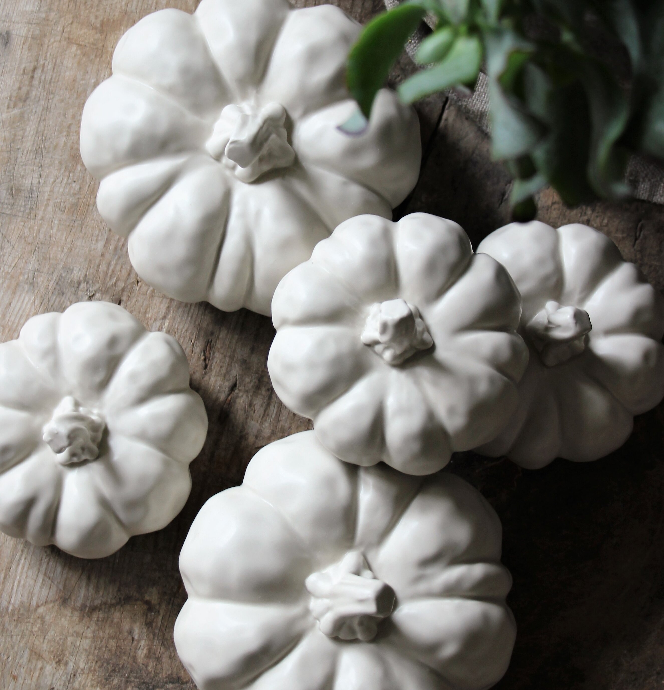 Pumpa Dekor Beige från Majas Cottage på väderbiten träyta